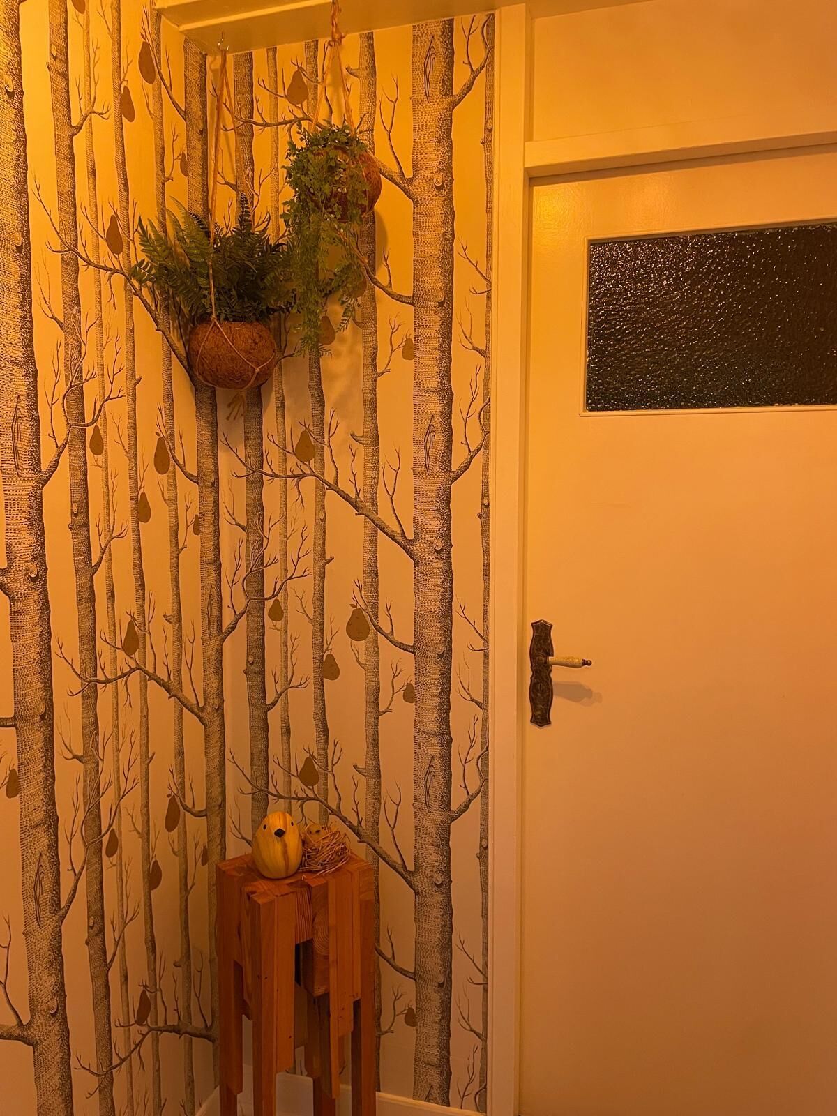 住宿内部