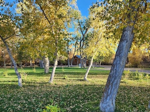 Un parc avec des arbres, de l’herbe et un chalet.