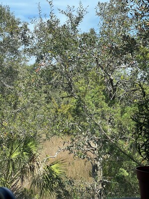 Vista da propriedade