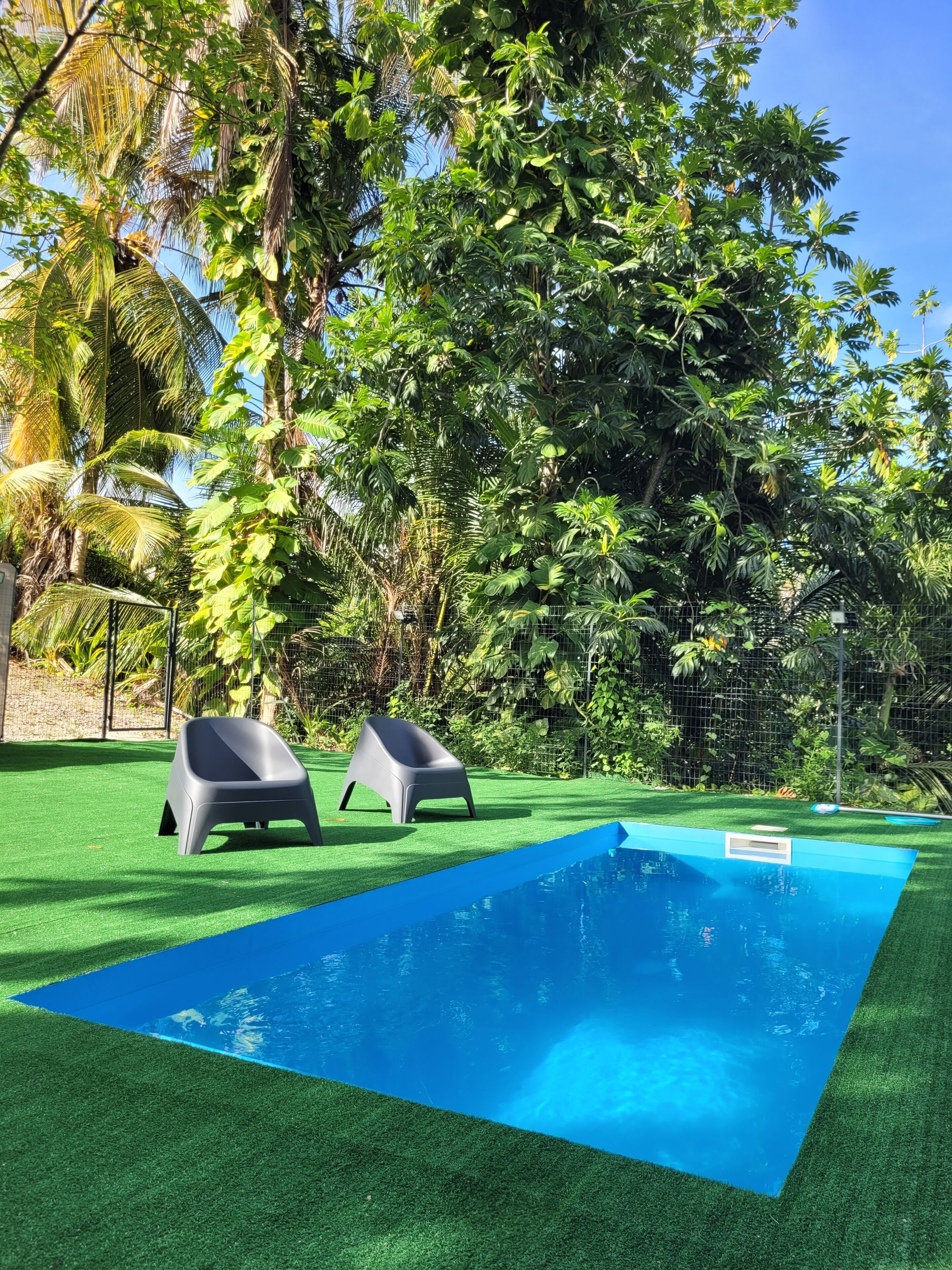 A swimming pool with two lounge chairs and lush greenery in the background.