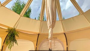 Uma tenda com cama, uma mesa e uma planta suspensa.
