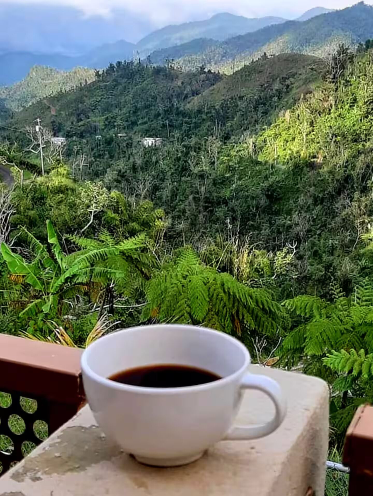 Een witte koffiekop op een betonnen oppervlak, met uitzicht op een bergachtig landschap.