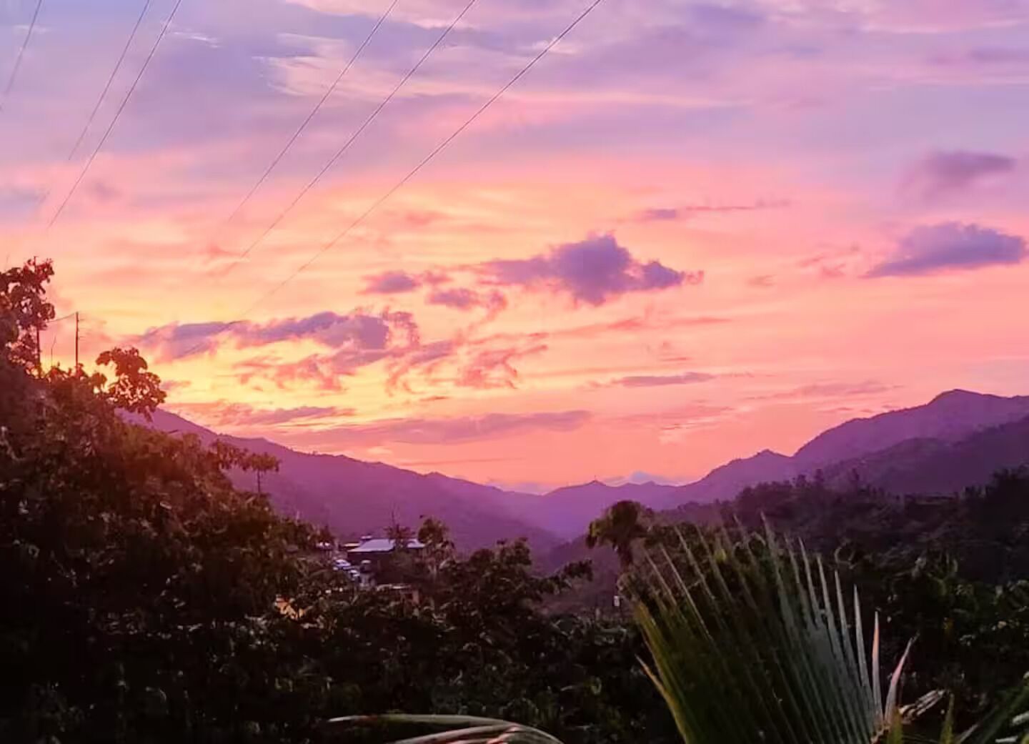 Un coucher de soleil sur des montagnes, avec des lignes électriques et de la végétation au premier plan.