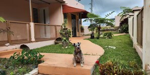 Un chien est assis sur une marche en béton, dans un jardin bien entretenu, avec une maison en arrière-plan.