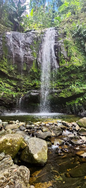 A waterfall cascading over a rocky cliff surrounded by lush greenery.