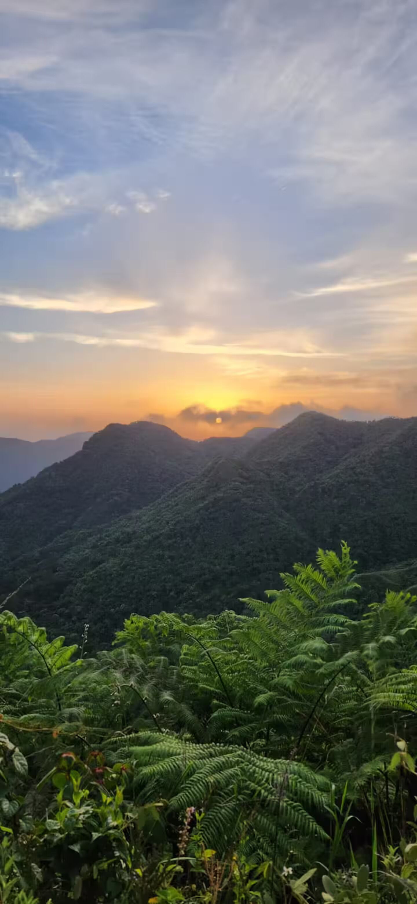 منوع