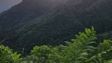 منوع