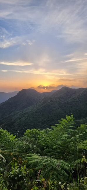 A mountainous landscape with dense green foliage in the foreground and a sunset in the background.
