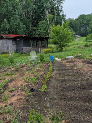 A garden with a wooden structure, a chair, and a blue bucket. - Tiny House Oasis in beautiful Waldo County, Maine. Dogs welcome! JUNE PRICE DROP (Jackson)