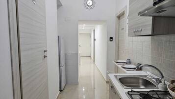Fridge, oven, stovetop, cookware/dishes/utensils