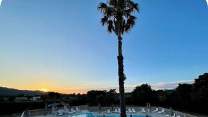 Une piscine entourée d’une clôture, avec des chaises longues et des parasols, et un palmier au premier plan.