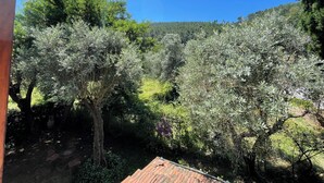 Um jardim com árvores e uma estrutura de madeira.