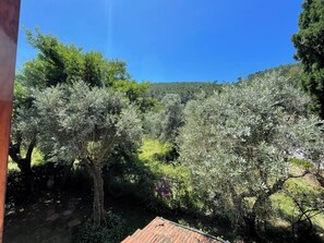 A garden with trees and a wooden structure. - Charming House by the Sea in Liguria (Cinque Terre, Porto Venere, Lerici by Boat) (Bocca di Magra)