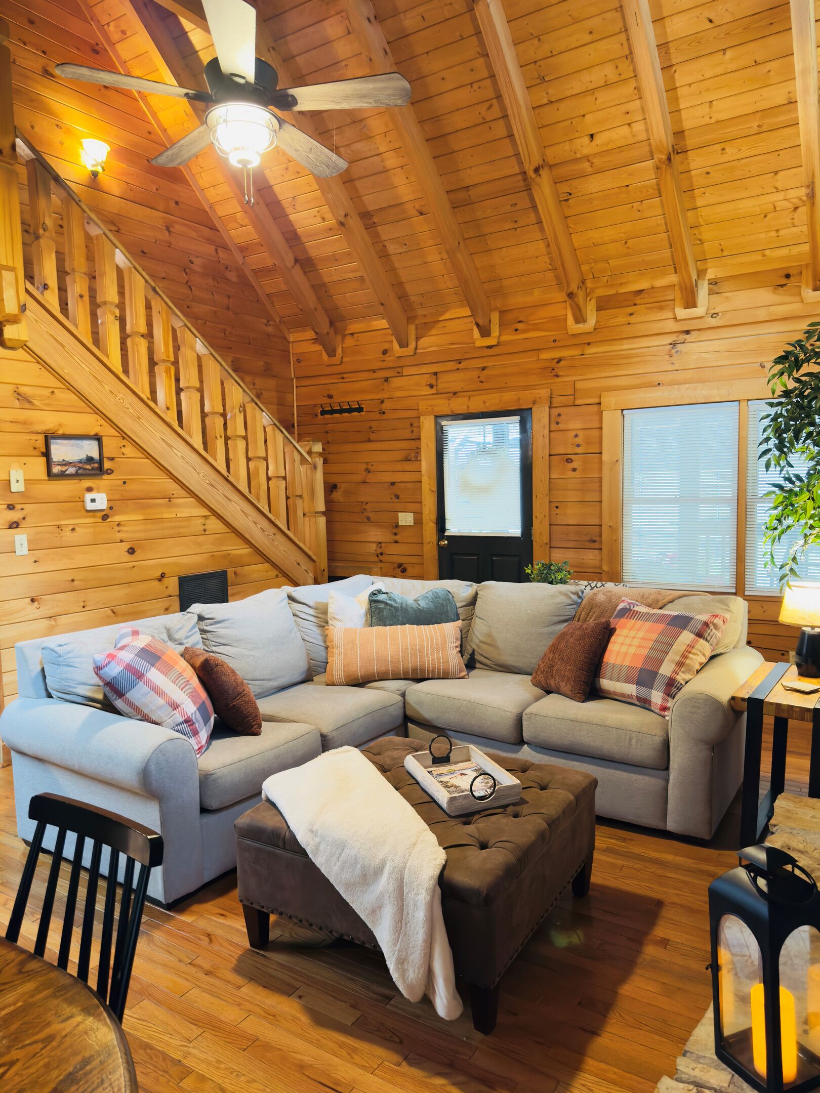 TV, fireplace, books