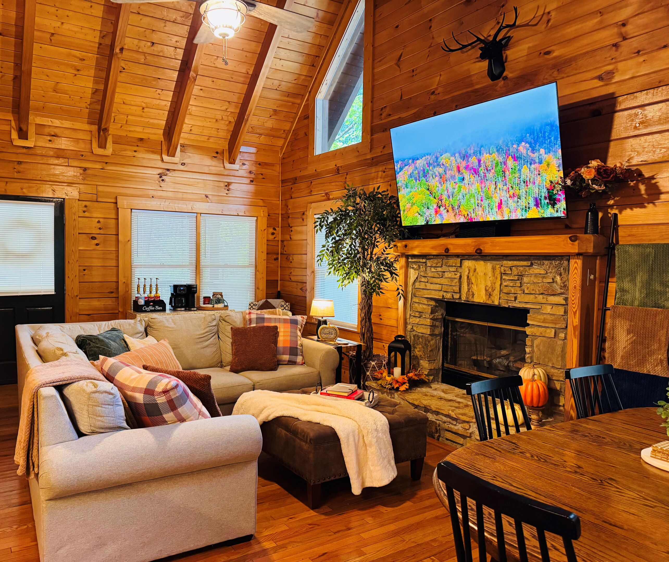 TV, fireplace, books
