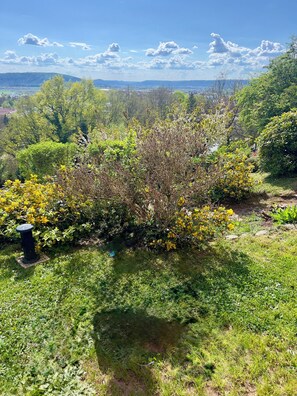 Ein Garten mit verschiedenen Pflanzen und einem Wasserspiel.