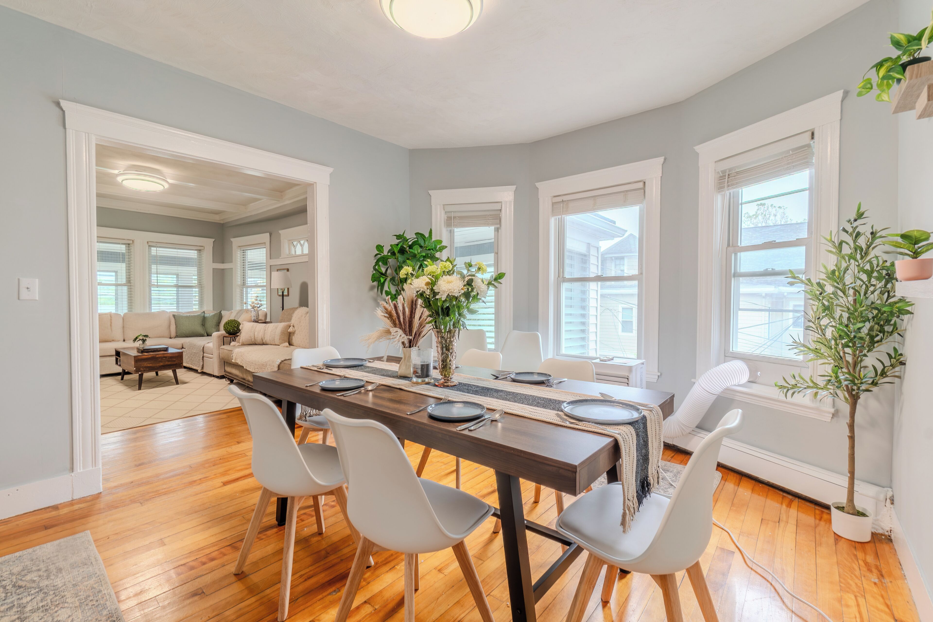 A dining area with a long table, white chairs, and a potted plant.