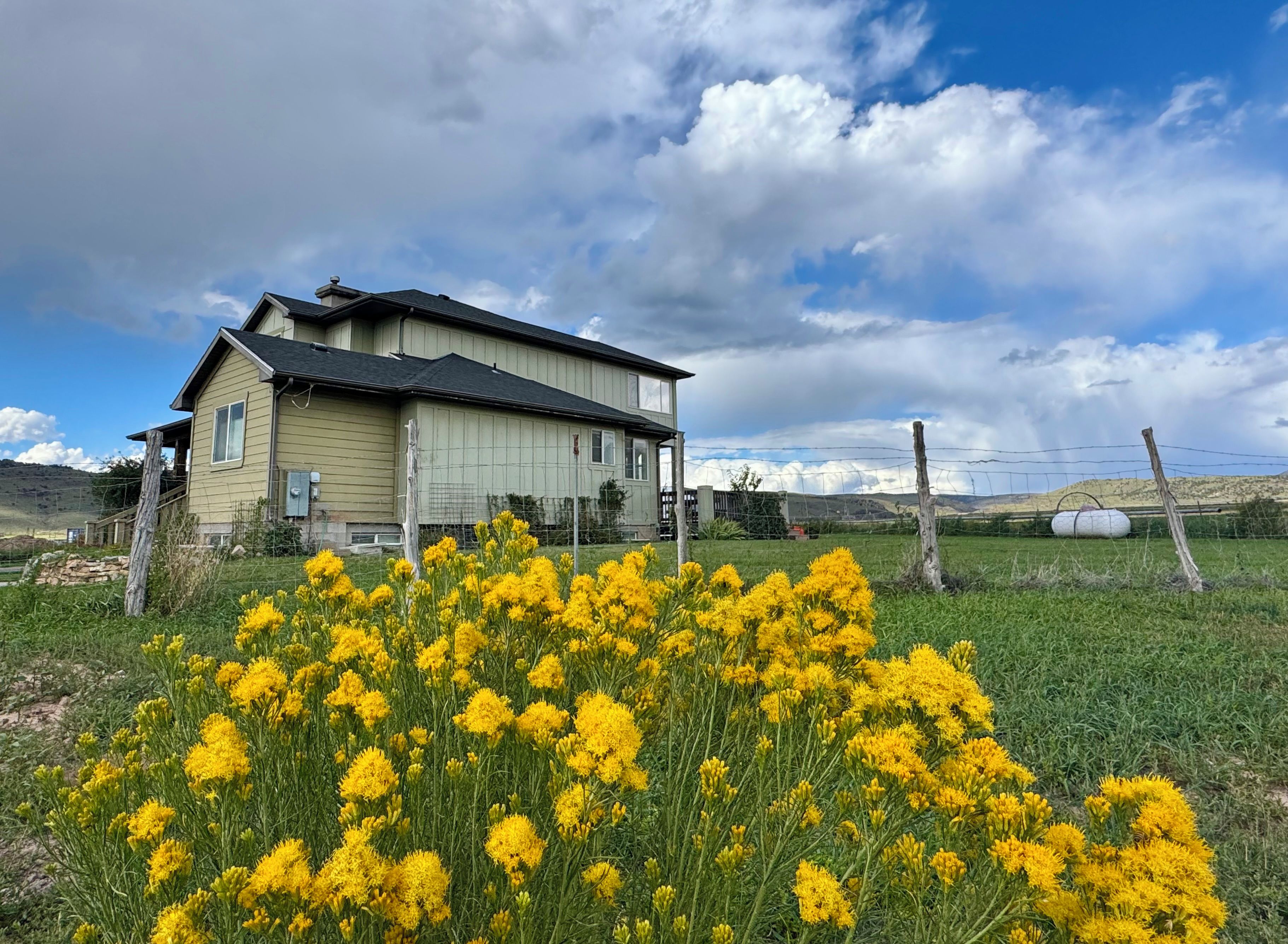 A two-story house with a fenced yard and a field of yellow flowers in the foreground.