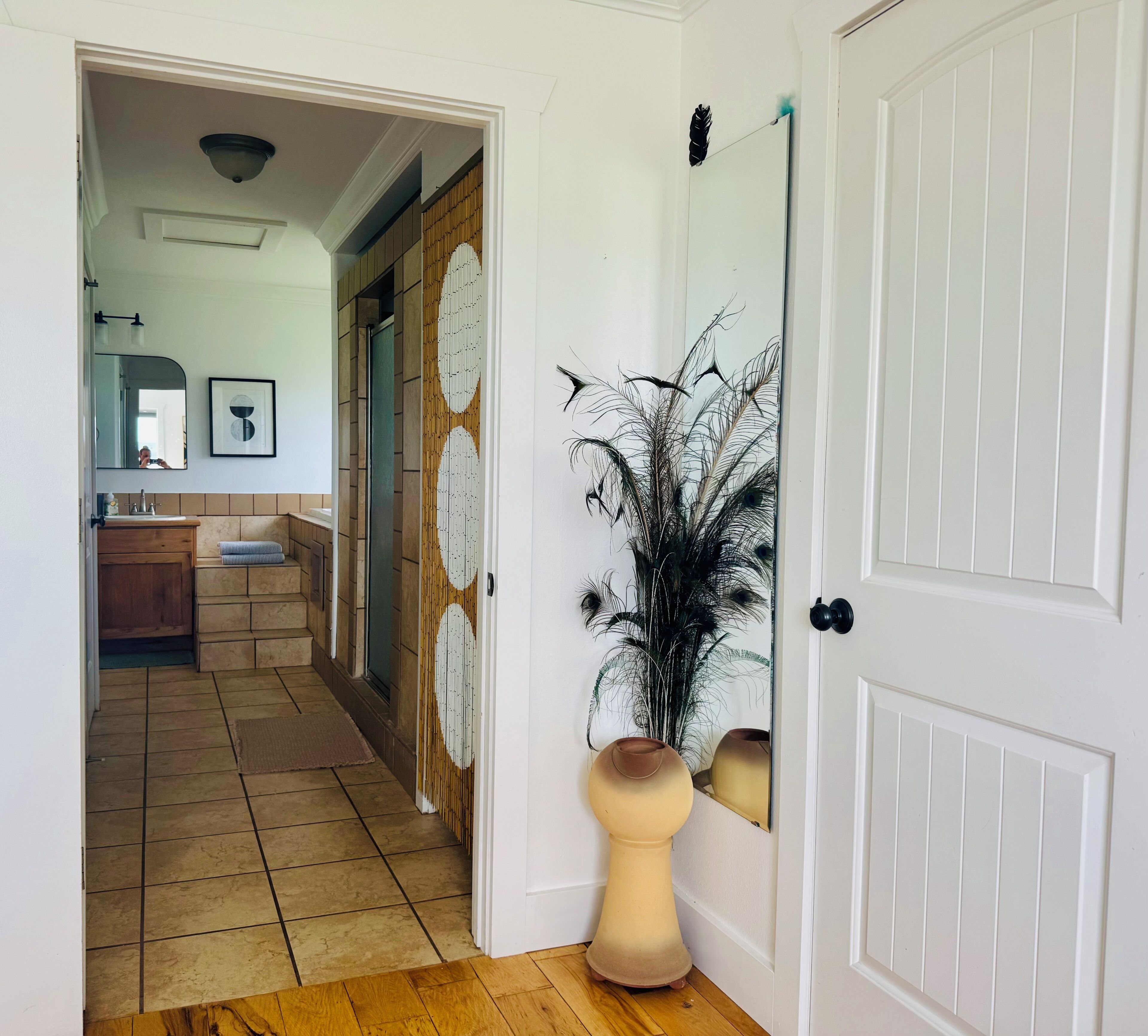 A hallway with a wooden floor, a mirror, a door with a decorative panel, and a plant.