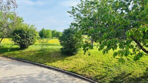 Uma entrada de cascalho leva a uma área gramada com árvores e arbustos.