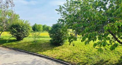 Appartement T2 avec spa privatif