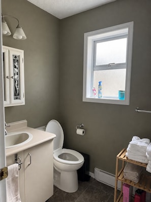 Towels, soap, toilet paper