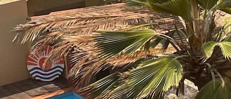 A swimming pool with clear blue water, surrounded by palm trees and a thatched roof structure.