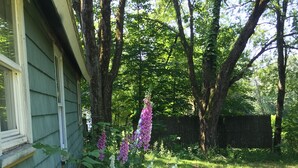 Un jardin avec de grandes fleurs violettes, une clôture en bois et une maison avec une fenêtre.