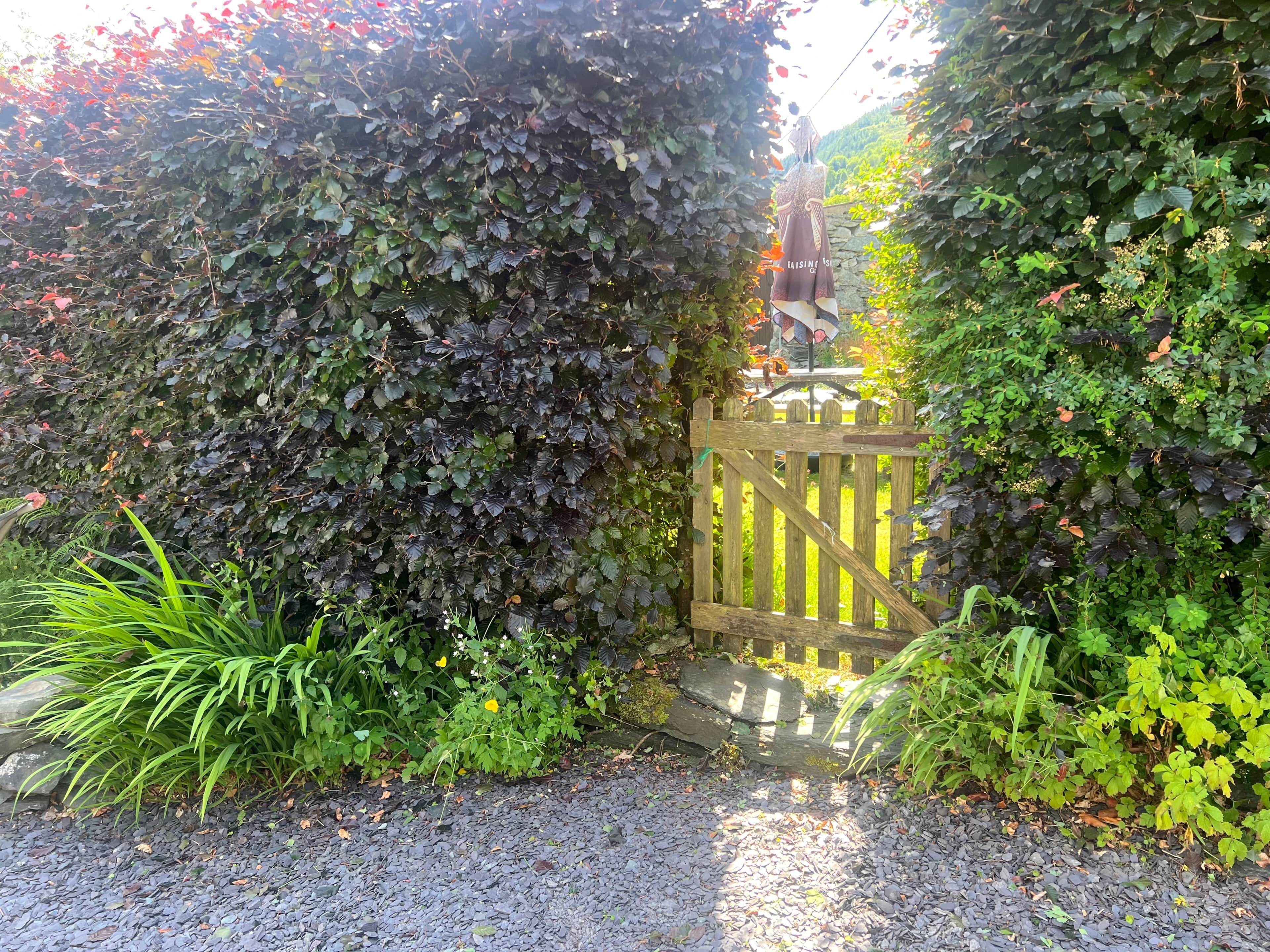 L'ingresso di un giardino con un cancello in legno, circondato da vegetazione lussureggiante e un vialetto sterrato.