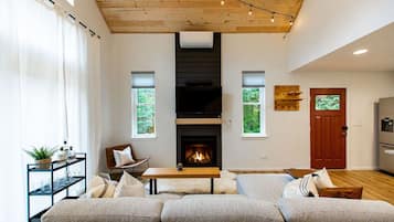 TV, fireplace, books, stereo