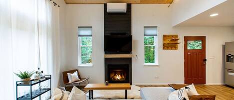 TV, fireplace, books, stereo