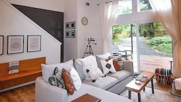 TV, fireplace, books, stereo