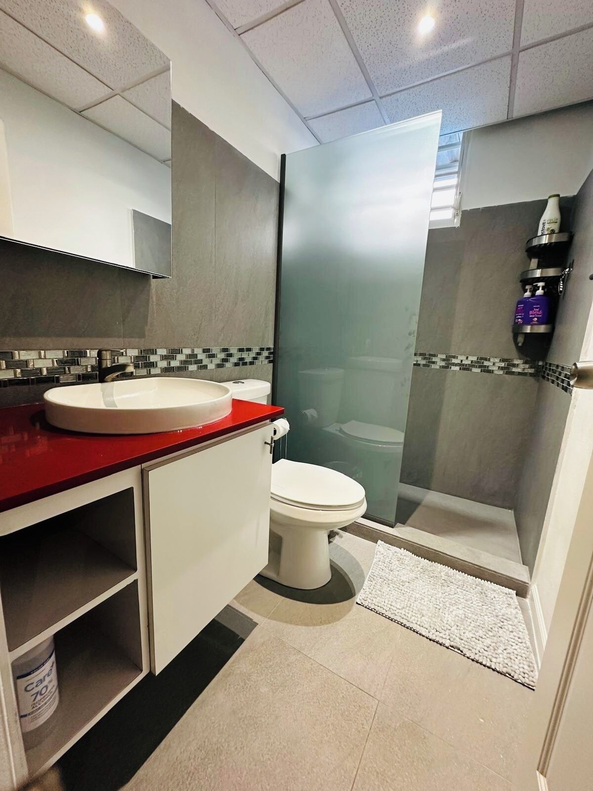 Hair dryer, towels, soap, shampoo