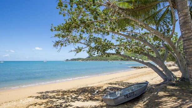 A beach with a boat labeled 'MLO73Q' under a palm tree.