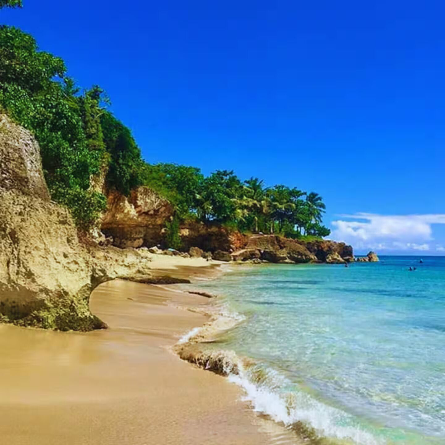 Una playa con agua cristalina, orilla arenosa y acantilados rocosos con vegetación.