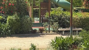 Ein Spielplatz mit Rutsche, umgeben von Grünflächen und einer Bank.