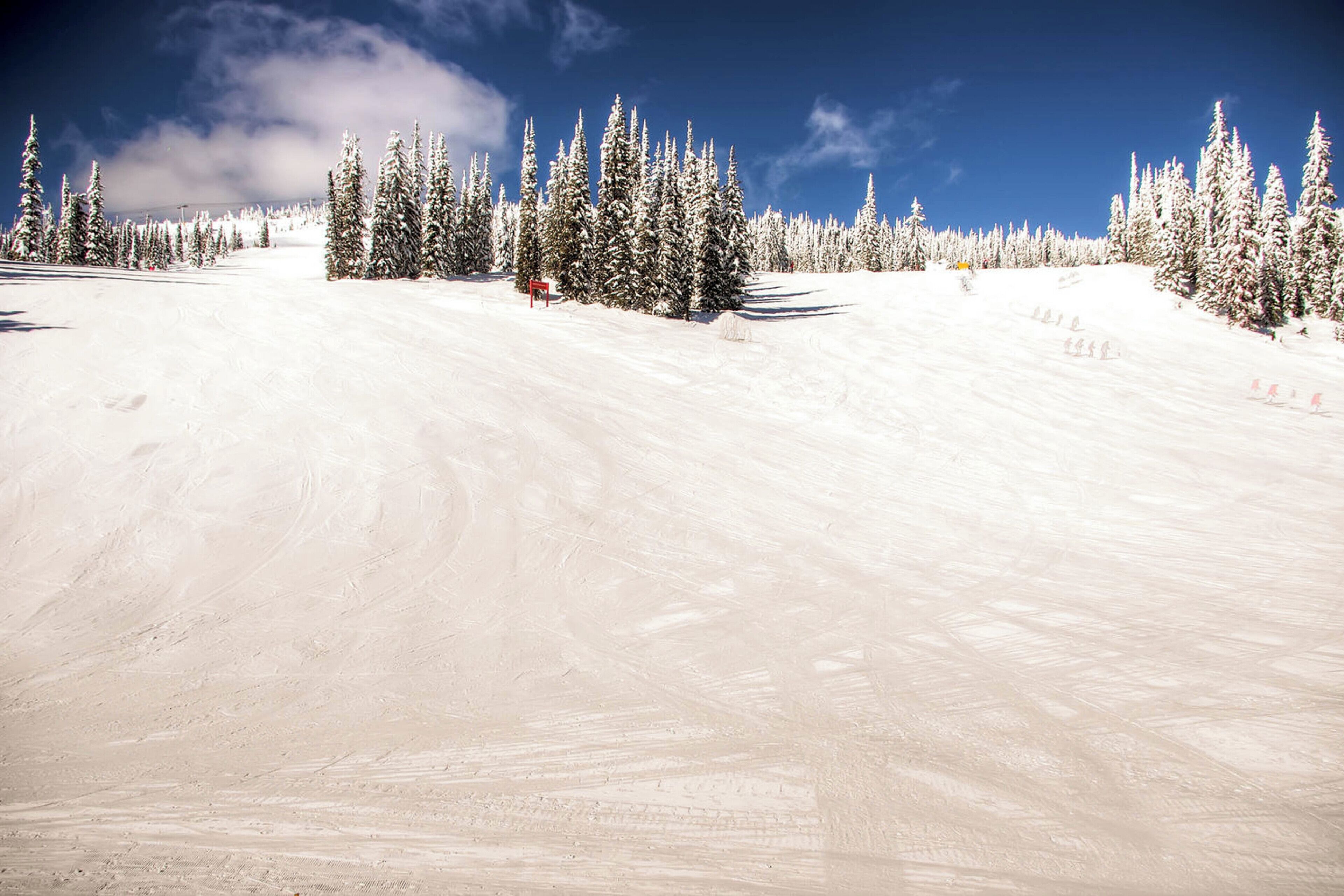 A snowy ski slope with trees and a clear sky.