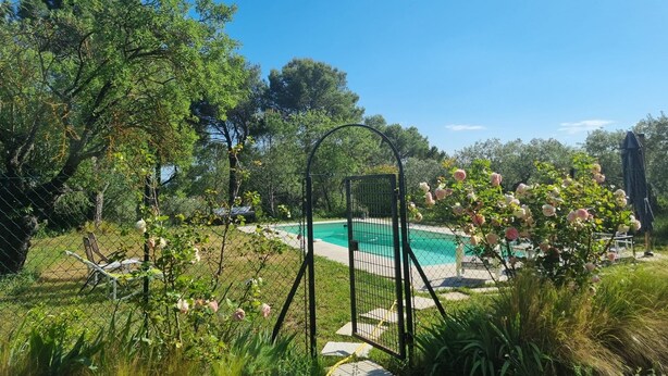 A fenced garden with a pool, trees, and a gate.