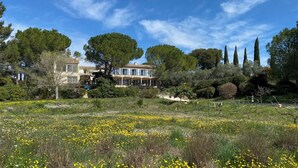 A large house with a garden, surrounded by trees and a field of yellow flowers.