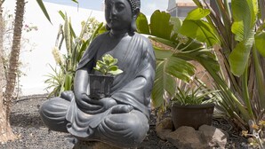 Eine sitzende Buddha-Statue mit einem Blumentopf, umgeben von tropischen Pflanzen und Steinen.