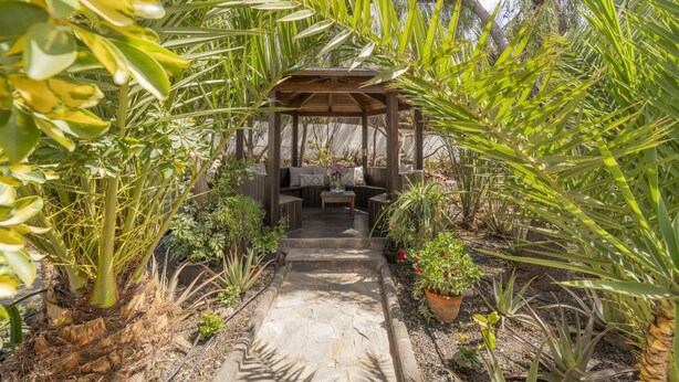 Ein Gartenweg führt zu einer hölzernen Laube mit Sitzgelegenheiten.