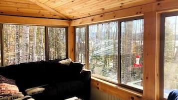 Fernseher, Kamin