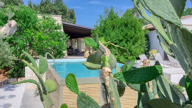 Un espace piscine agrémenté de cactus, un coin salon abrité et un bâtiment en arrière-plan.