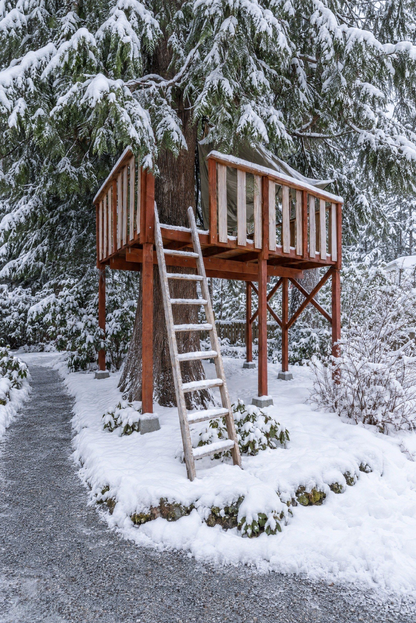 A wooden deck structure with a ladder leading up to it, surrounded by snow-covered trees.