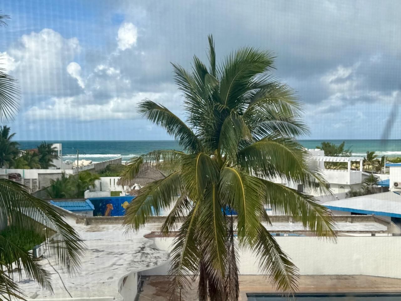 Habitación de lujo, patio, vista a la playa | Áreas de la propiedad