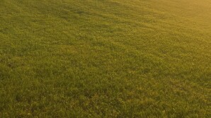 A vast open field with a distant horizon and a clear sky.