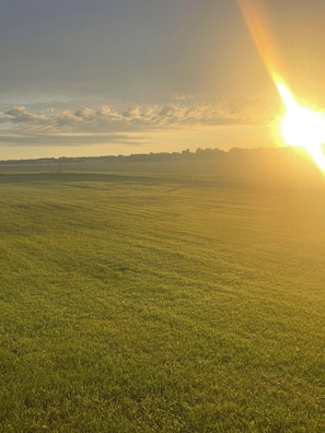 Un extenso campo abierto con un horizonte lejano y cielo despejado.