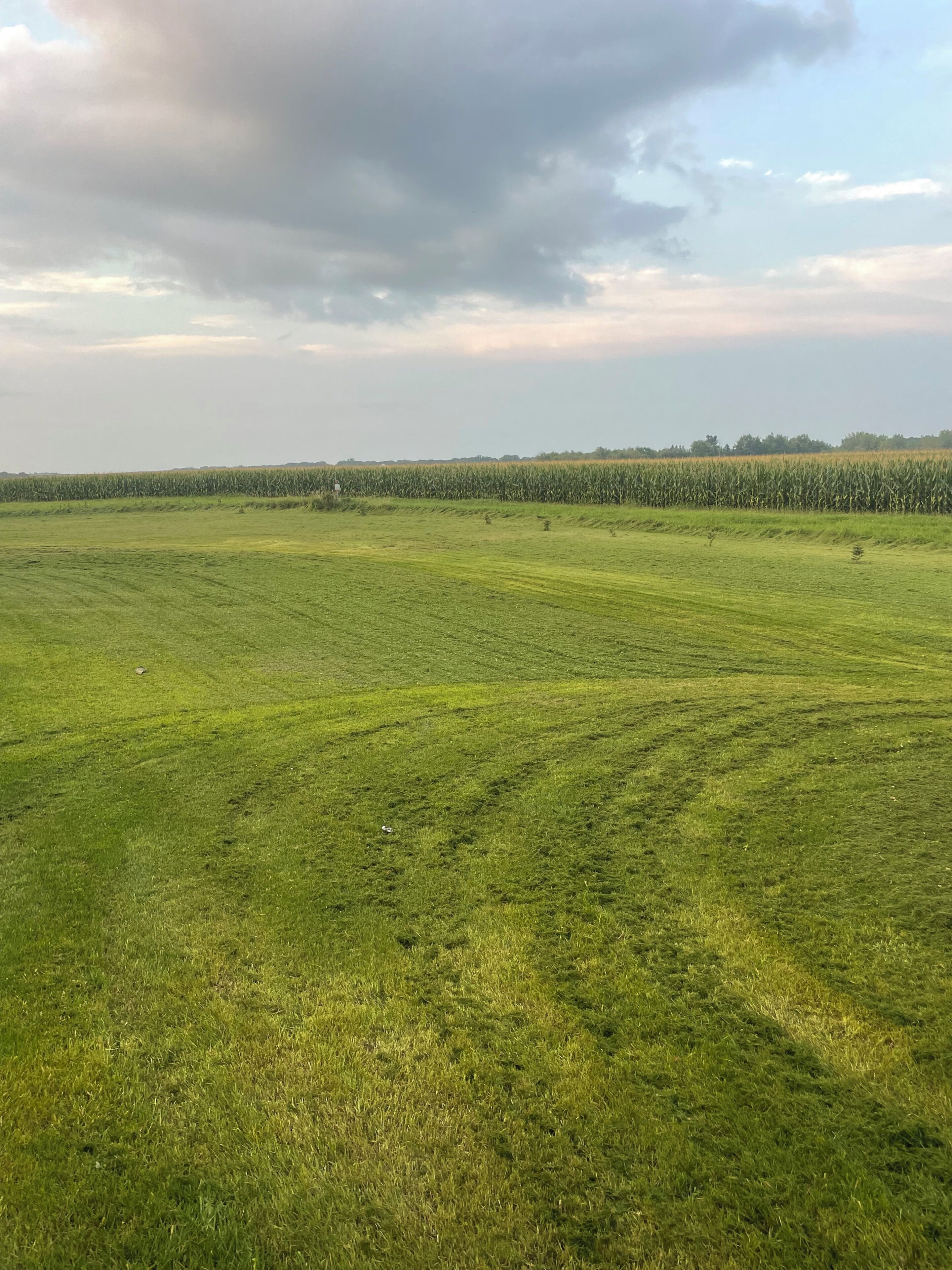 A vast green field with a distant cornfield under a cloudy sky.