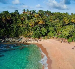 Ein Strand mit klarem türkisblauem Wasser, sandigem Ufer und üppigen Palmen.