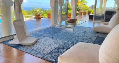French Mediterranean 2 bedroom Ocean View Pool Home in the Hills of Cabrera.